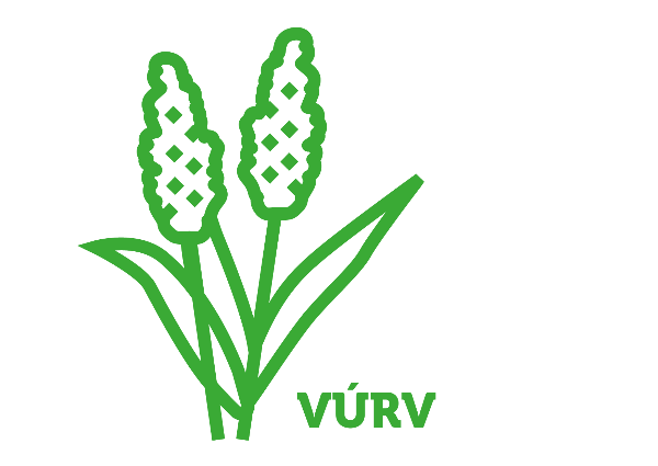 Od kolegů výzkumníků z VÚRV:  Potenciál odrůdy čiroku Ruzrok pro zelené biofumigační hnojení
