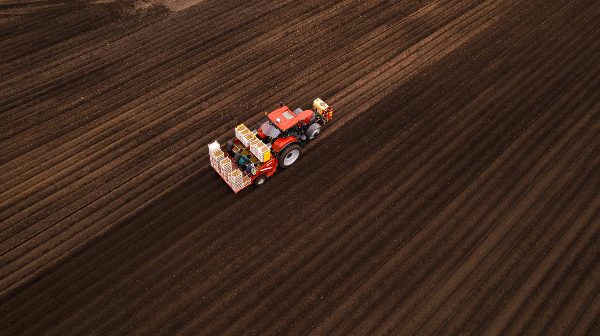 Sezóna české zeleniny 2026 začíná pod tlakem